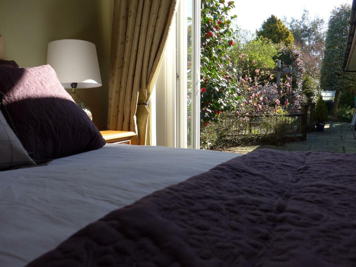 ゴスポート The Olive Tree Bed & Breakfast エクステリア 写真